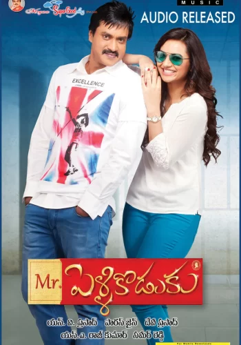 Постер индийского фильма «Мистер Жених»